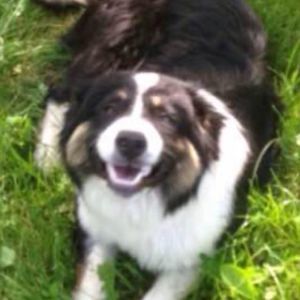 Meet your Posher, Donnie